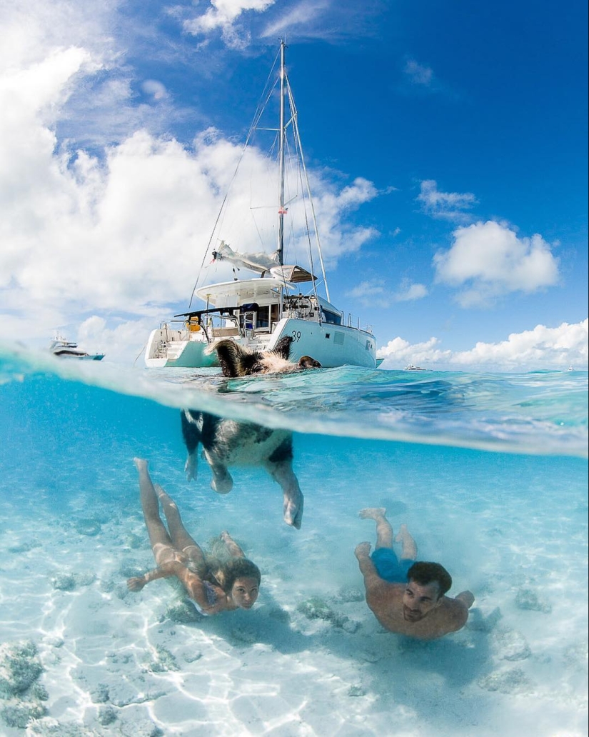 Talentoso fotógrafo andré Musgrove hace una increíble fotos bajo el agua