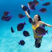 Talentoso fotógrafo andré Musgrove hace una increíble fotos bajo el agua