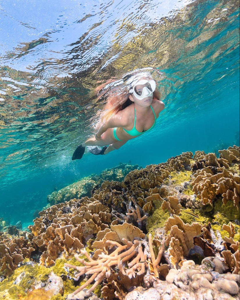 Talentoso fotógrafo andré Musgrove hace una increíble fotos bajo el agua
