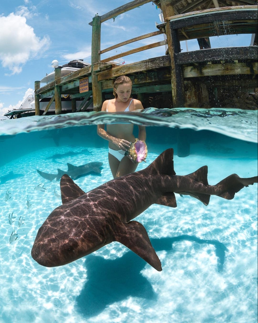 Talentoso fotógrafo andré Musgrove hace una increíble fotos bajo el agua