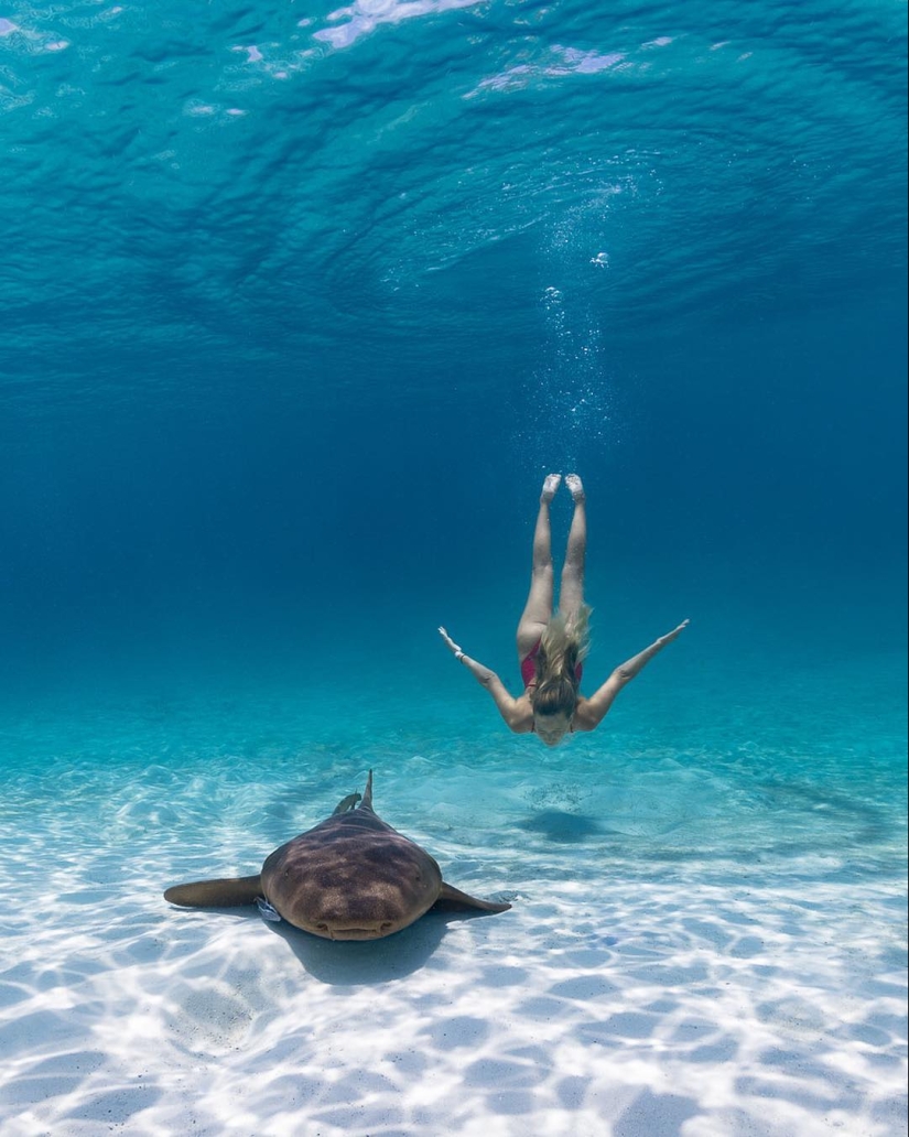 Talentoso fotógrafo andré Musgrove hace una increíble fotos bajo el agua