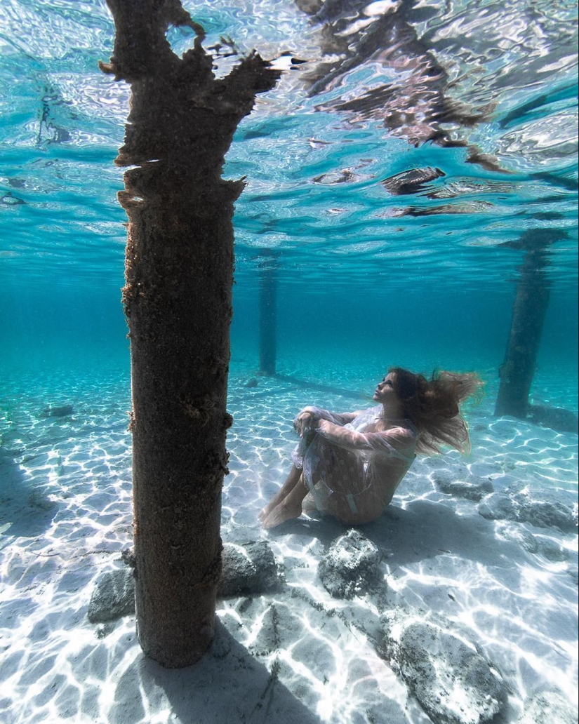 Talentoso fotógrafo andré Musgrove hace una increíble fotos bajo el agua