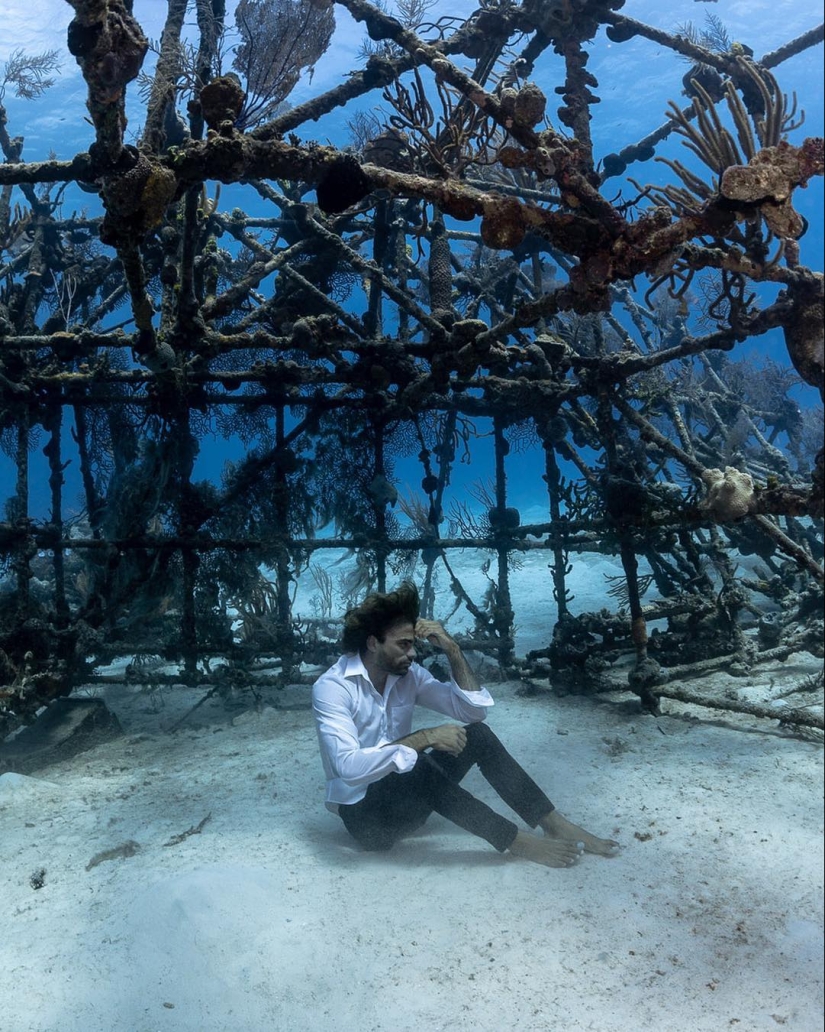 Talentoso fotógrafo andré Musgrove hace una increíble fotos bajo el agua