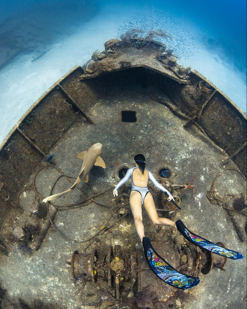 Talentoso fotógrafo andré Musgrove hace una increíble fotos bajo el agua