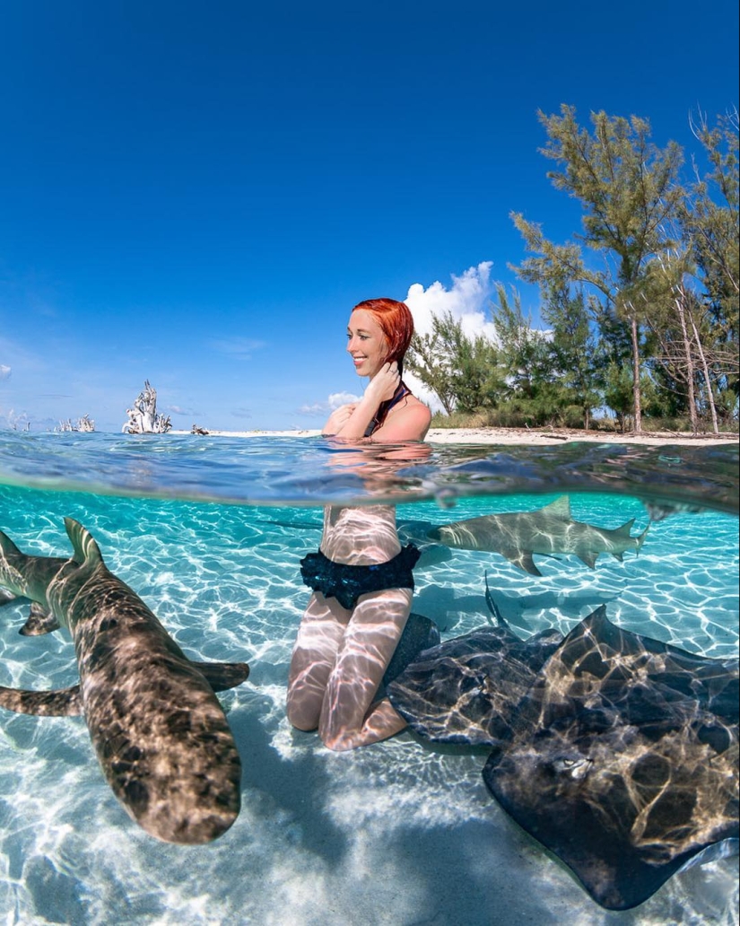 Talentoso fotógrafo andré Musgrove hace una increíble fotos bajo el agua