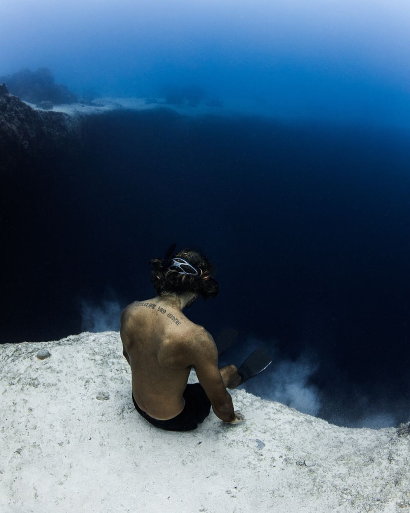 Talentoso fotógrafo andré Musgrove hace una increíble fotos bajo el agua