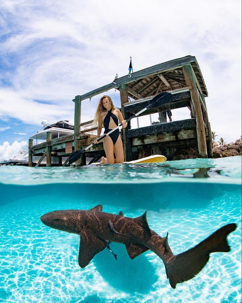 Talentoso fotógrafo andré Musgrove hace una increíble fotos bajo el agua