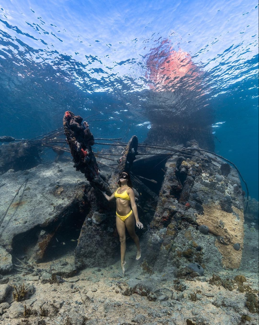 Talentoso fotógrafo andré Musgrove hace una increíble fotos bajo el agua