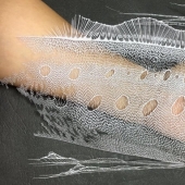 Talla de papel de filigrana de la artista japonesa Rika Fukuda