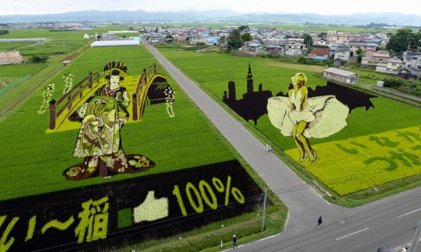 Tambo Art-incredible paintings in the rice fields of Japan Tambo Art-incredible paintings in the rice fields of Japan