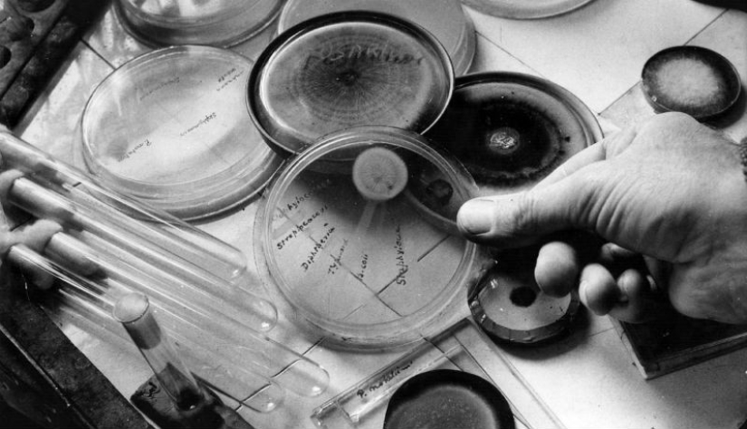 Ten scientific discoveries that happened by accident Ten scientific discoveries that happened by accident