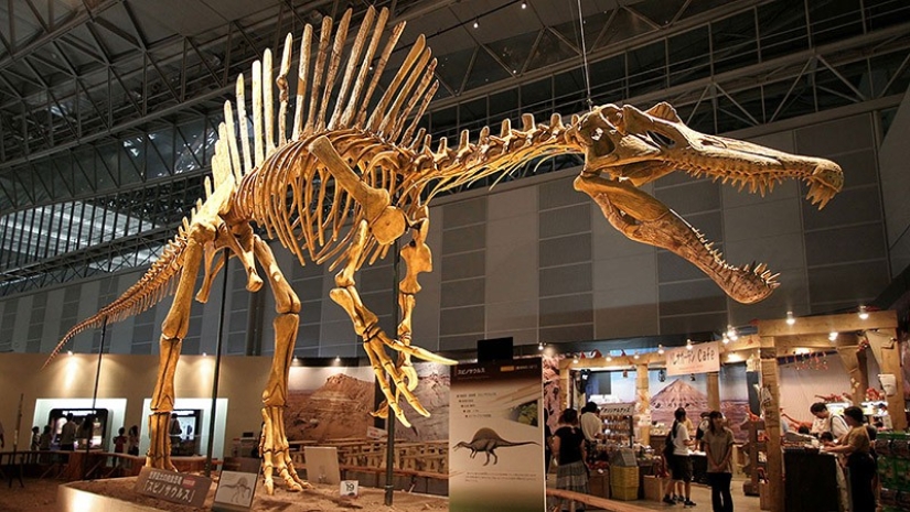 Thank God, they are extinct! 25 awful creatures who once inhabited Earth Thank God, they are extinct! 25 awful creatures who once inhabited Earth