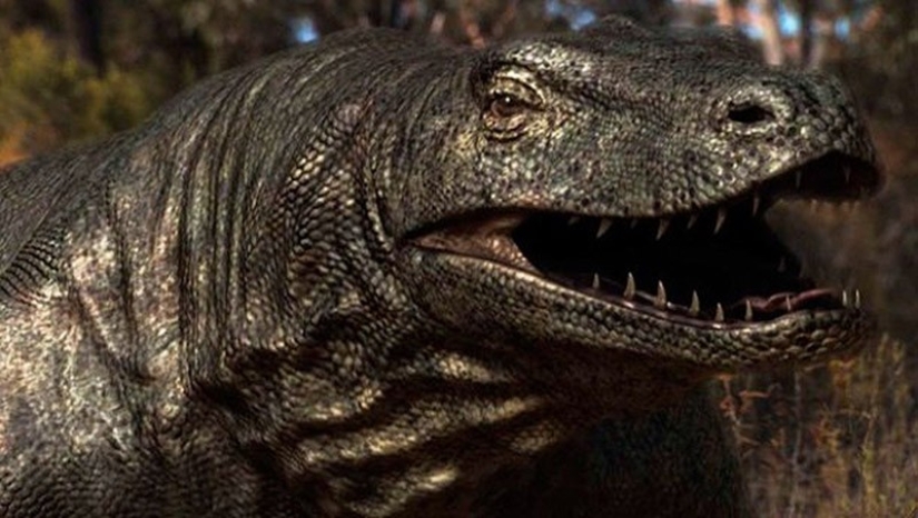 Thank God, they are extinct! 25 awful creatures who once inhabited Earth Thank God, they are extinct! 25 awful creatures who once inhabited Earth