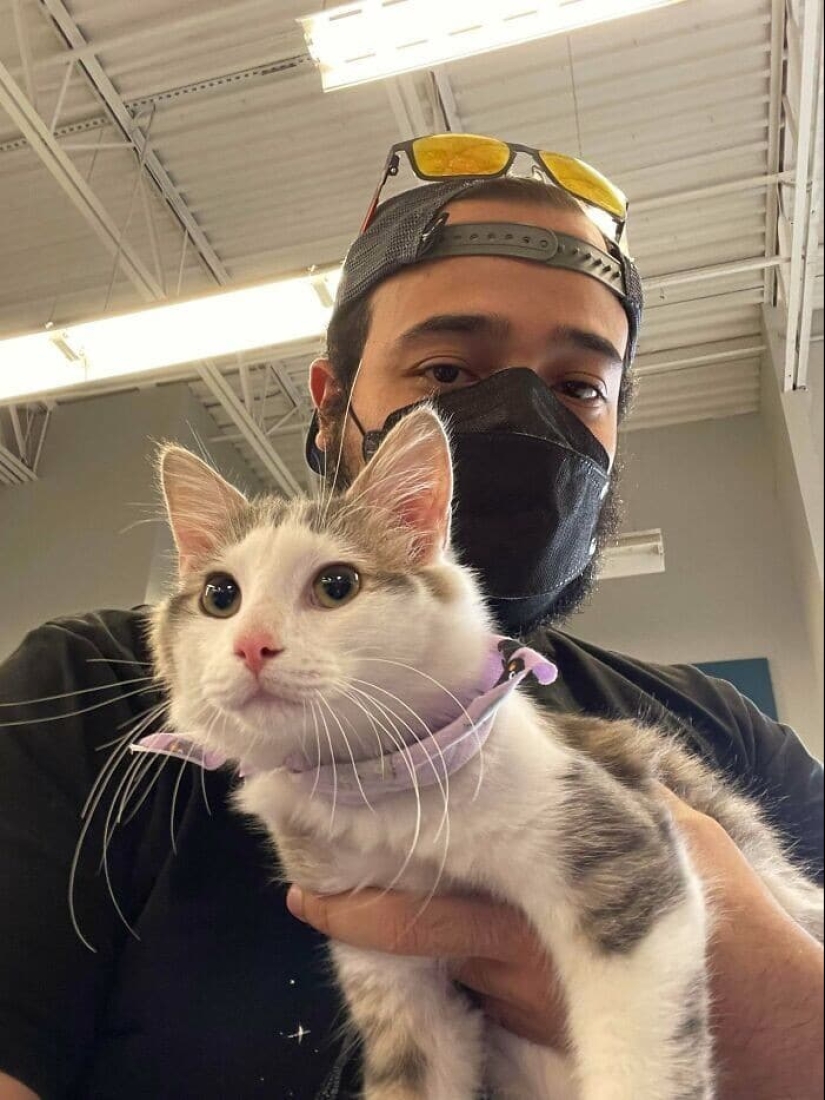 Thank you, people! 30 homeless animals who were given a new life Thank you, people! 30 homeless animals who were given a new life