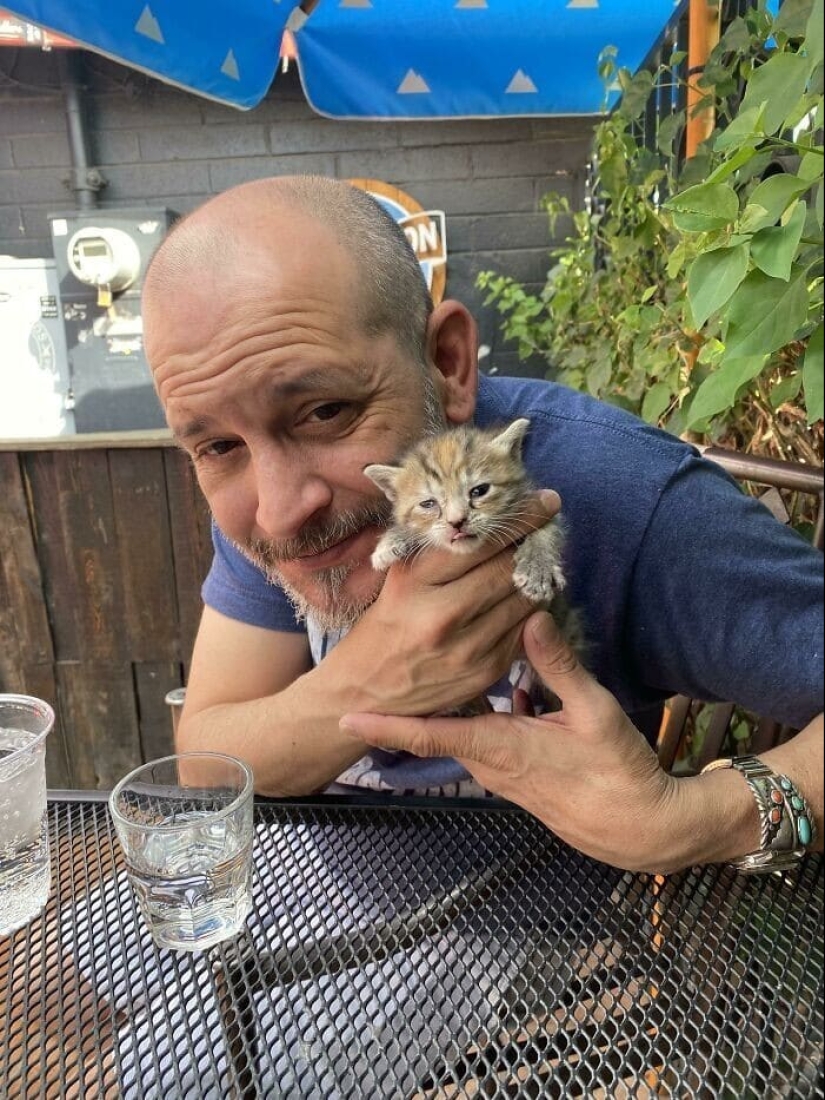 Thank you, people! 30 homeless animals who were given a new life Thank you, people! 30 homeless animals who were given a new life