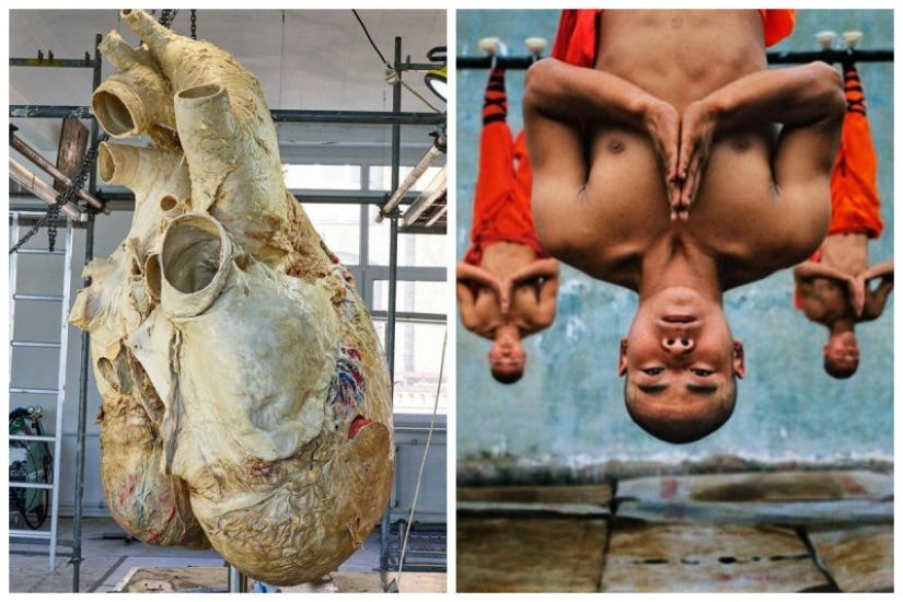 "That's interesting!": 20 unusual, surprising and just interesting facts