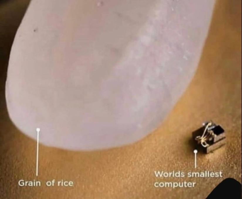 "That's interesting!": 20 unusual, surprising and just interesting facts