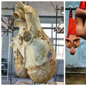 "That's interesting!": 20 unusual, surprising and just interesting facts