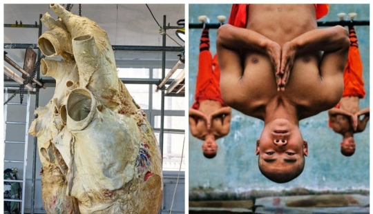 "That's interesting!": 20 unusual, surprising and just interesting facts