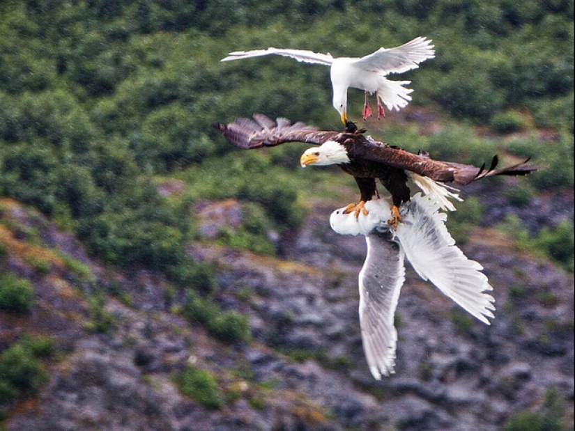 "That's interesting!": 20 unusual, surprising and just interesting facts