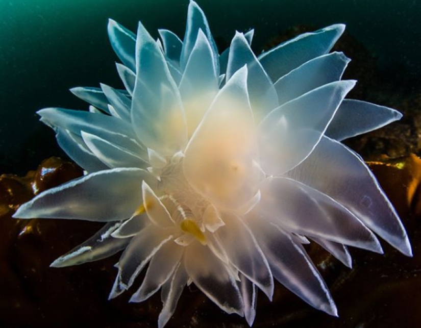 "That's interesting!": 20 unusual, surprising and just interesting facts