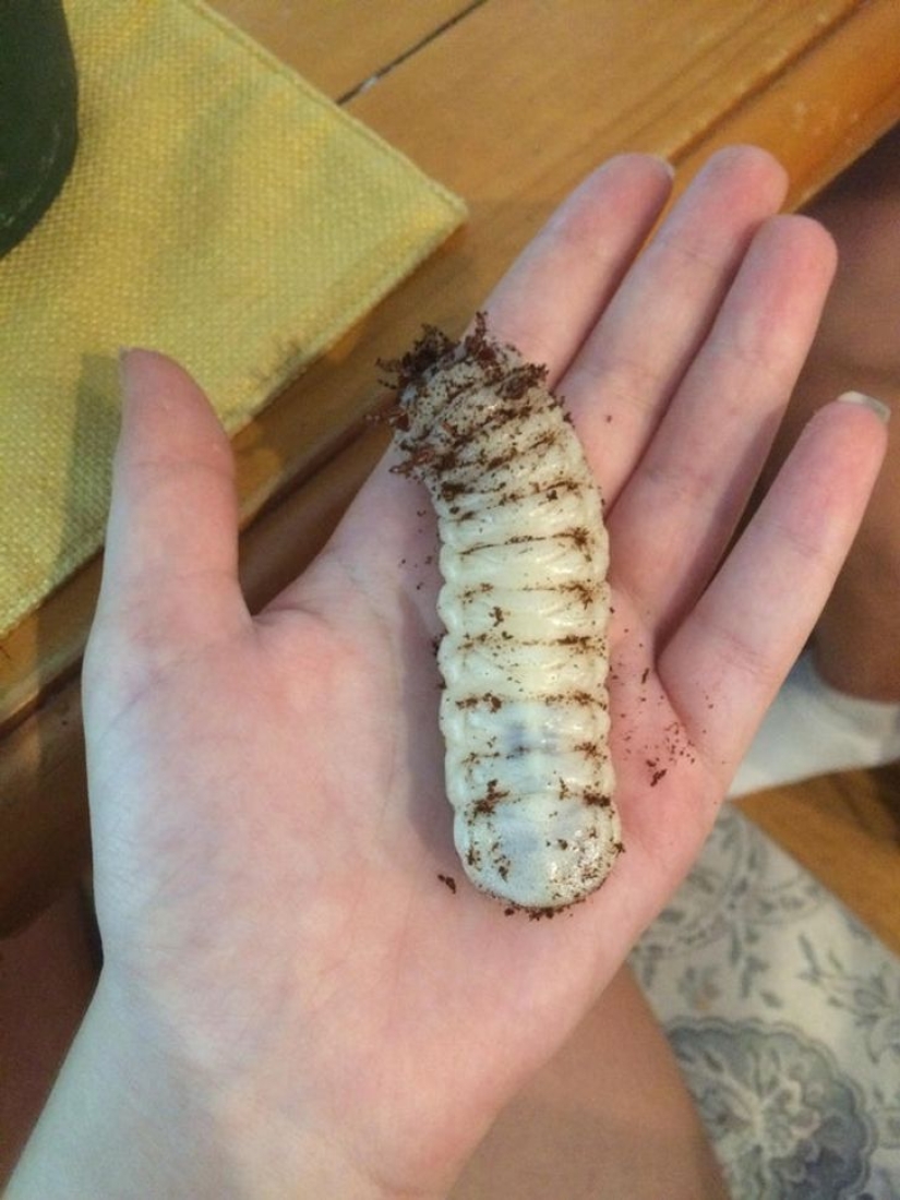 That's the size! 22 times when the actual dimensions were completely unexpected That's the size! 22 times when the actual dimensions were completely unexpected