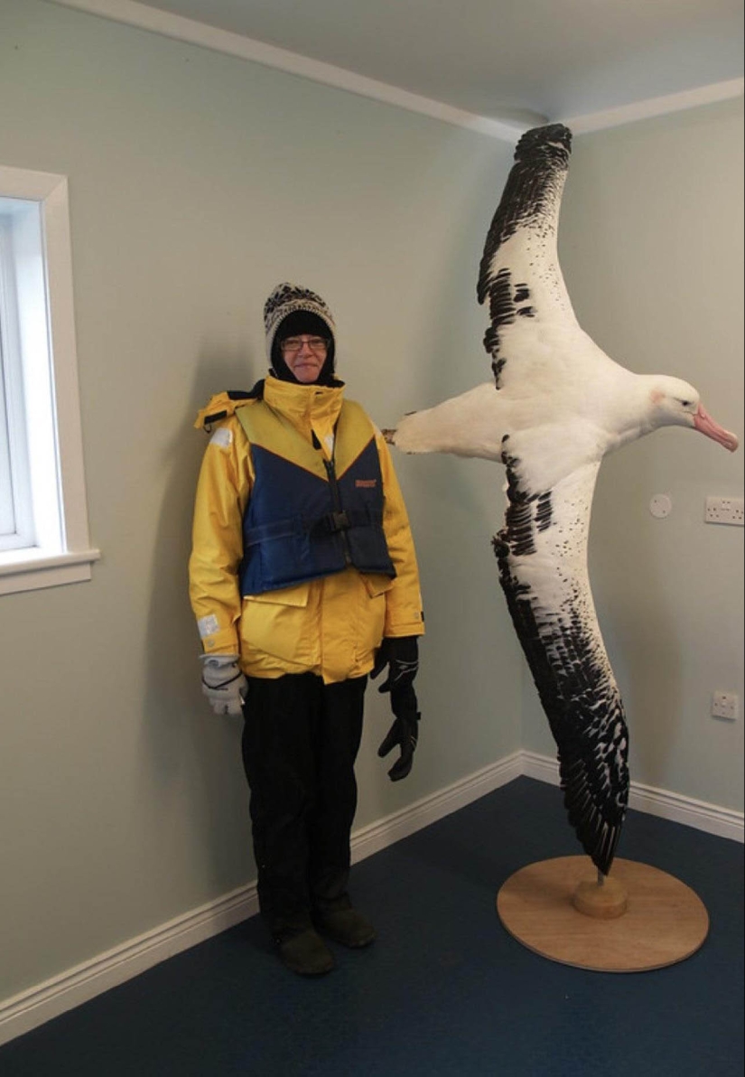 That's the size! 22 times when the actual dimensions were completely unexpected That's the size! 22 times when the actual dimensions were completely unexpected