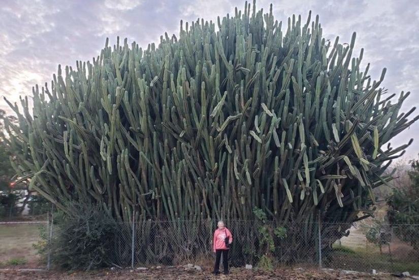 That's the size! 22 times when the actual dimensions were completely unexpected That's the size! 22 times when the actual dimensions were completely unexpected