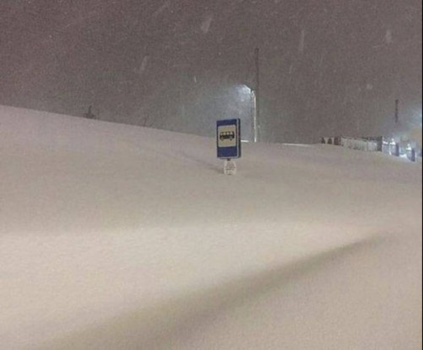 That's what a real winter: 30+ photos that you will be cold