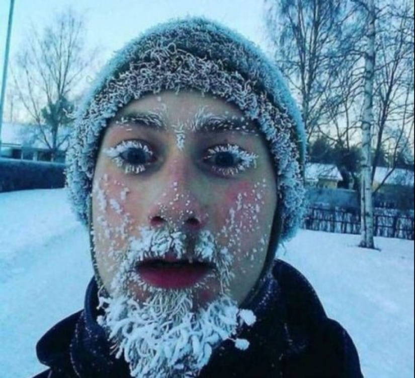 That's what a real winter: 30+ photos that you will be cold