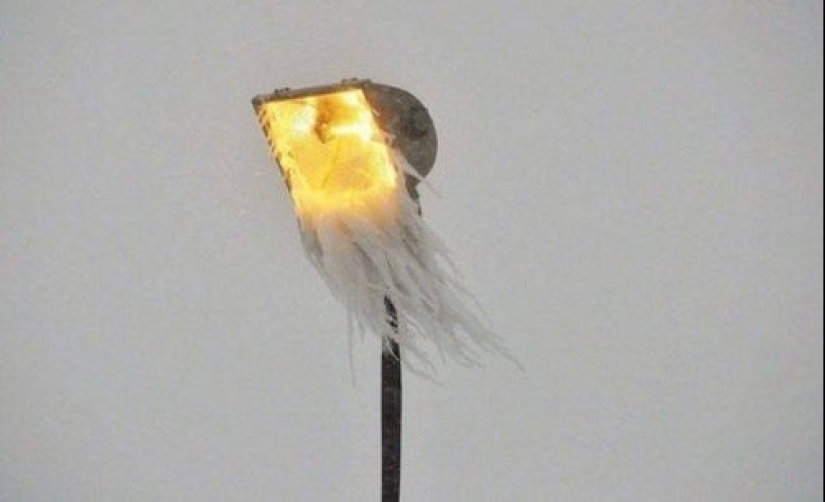 That's what a real winter: 30+ photos that you will be cold