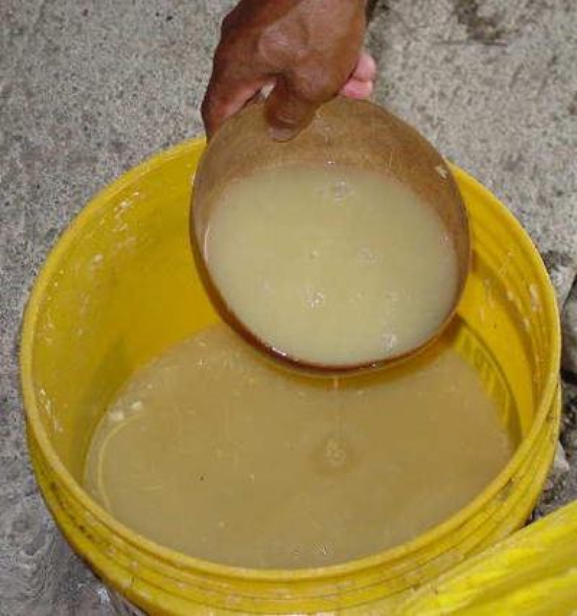 The 10 most unusual alcoholic beverages in the world The 10 most unusual alcoholic beverages in the world