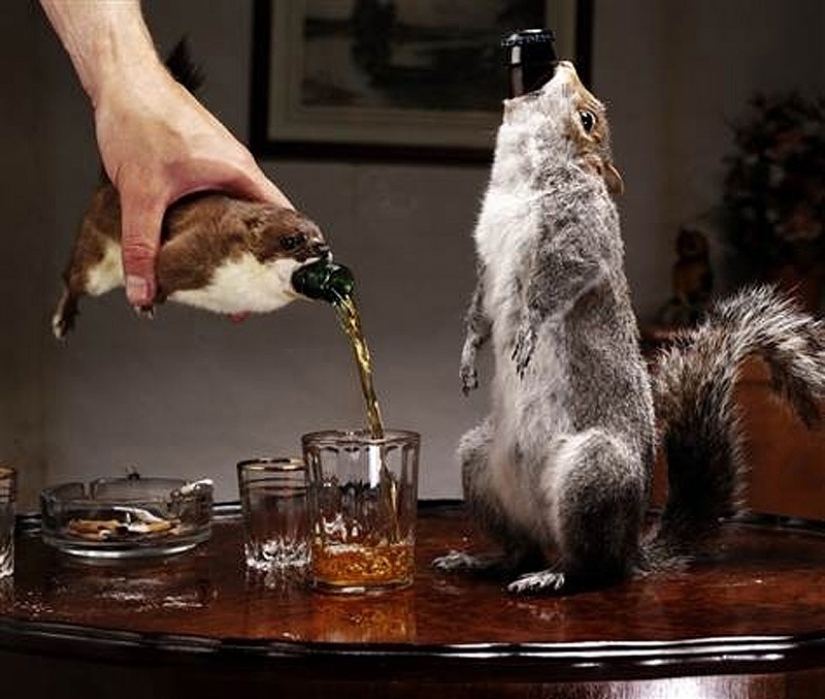 The 10 most unusual alcoholic beverages in the world The 10 most unusual alcoholic beverages in the world