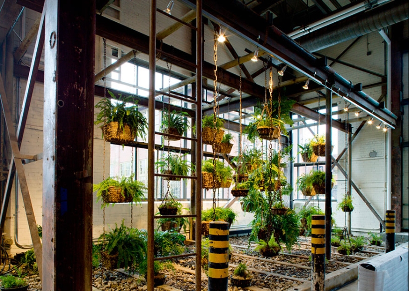 The 12 coolest offices in the world