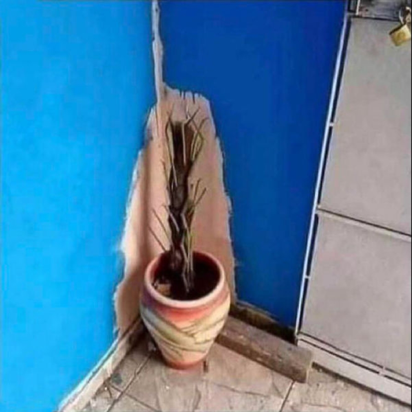 The 22 most impressive examples of chronic laziness The 22 most impressive examples of chronic laziness