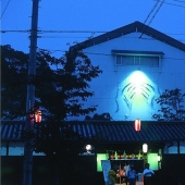 The artist who paints with shadows