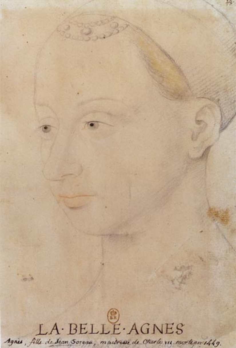 The beautiful Agnes: what did the king's favorite, depicted on the Melensky diptych, look like in life The beautiful Agnes: what did the king's favorite, depicted on the Melensky diptych, look like in life