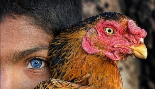 The Beauty Of Animals In 14 Photos By Guru Charan