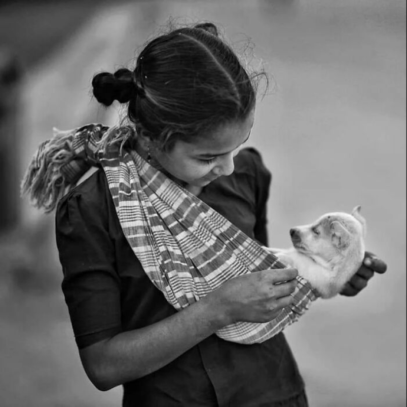 The Beauty Of Animals In 14 Photos By Guru Charan