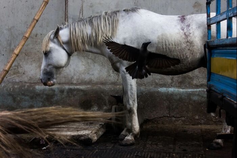 The Beauty Of Everyday Life: 10 Vibrant Photographs By Md Enamul Kabir