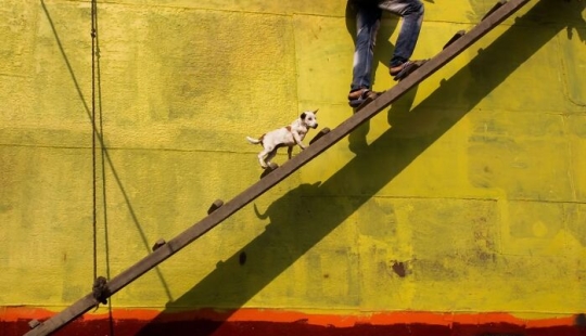 The Beauty Of Everyday Life: 10 Vibrant Photographs By Md Enamul Kabir