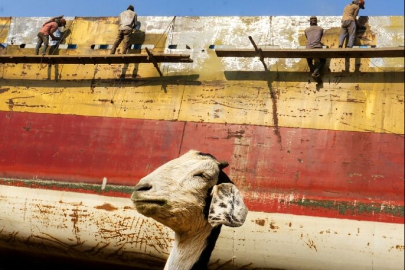 The Beauty Of Everyday Life: 10 Vibrant Photographs By Md Enamul Kabir