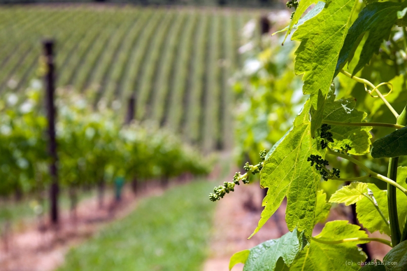 The beauty of New Zealand landscapes in the lens of Chris Jean The beauty of New Zealand landscapes in the lens of Chris Jean