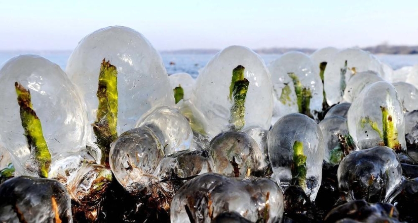 The beauty of winter