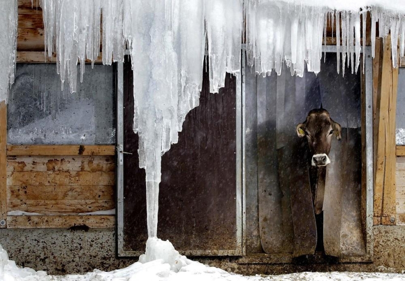 The beauty of winter