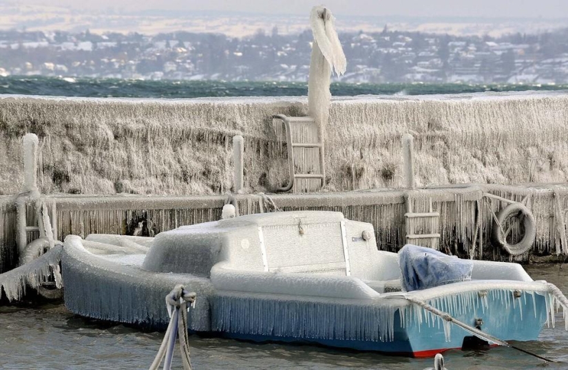 The beauty of winter