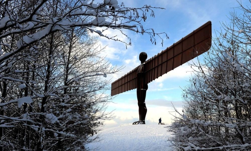 The beauty of winter