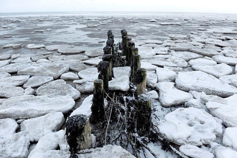 The beauty of winter