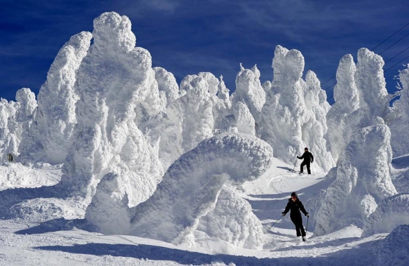 The beauty of winter