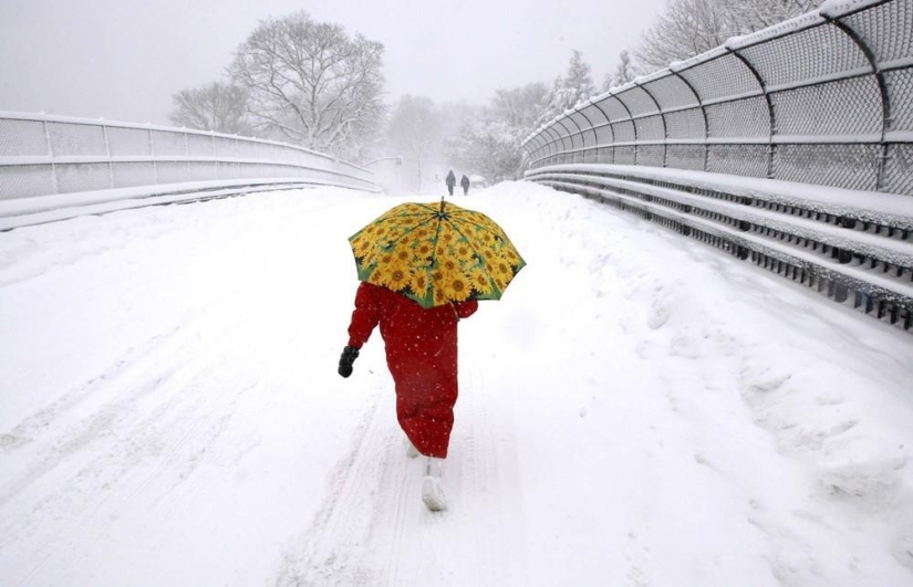 The beauty of winter